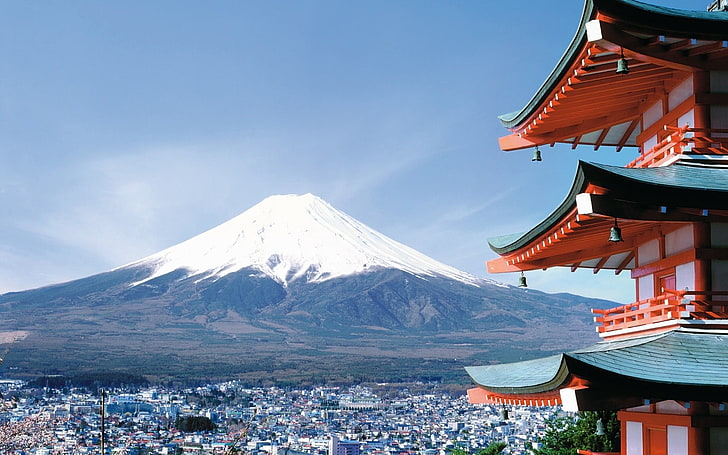 Mount Fuji, fuji, japan, city, sakura, HD wallpaper