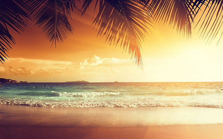 Тропический закатный рай, тропический, Закат, рай, пляж, побережье, море, океан, пальмы, лето, песок, HD обои
