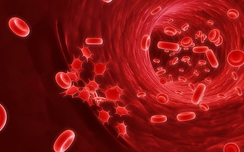Cellules sanguines, illustration des globules rouges, art numérique, 1920x1200, sang, cellule, Fond d'écran HD HD wallpaper