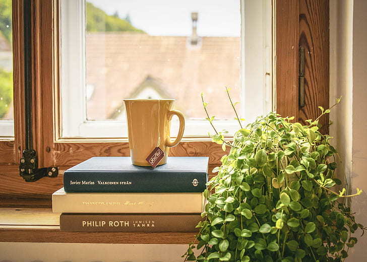 book stack, books, contemporary, cup, glass, home, house, indoors, interior, interior design, literature, mug, novel, outdoors, plant, room, stack, story, tea, window, wood, wooden, HD wallpaper