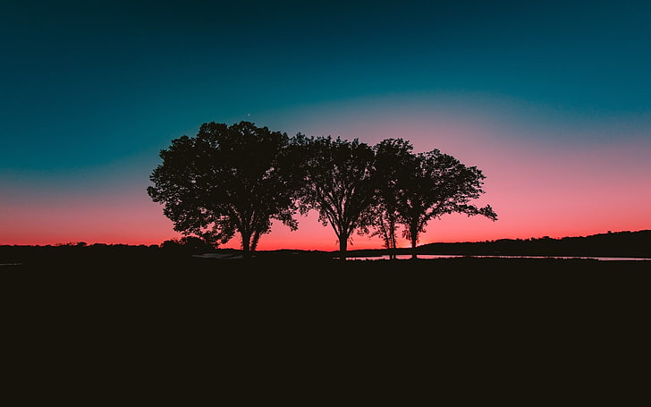three silhouette of trees, dark, landscape, sky, trees, sunlight, HD wallpaper