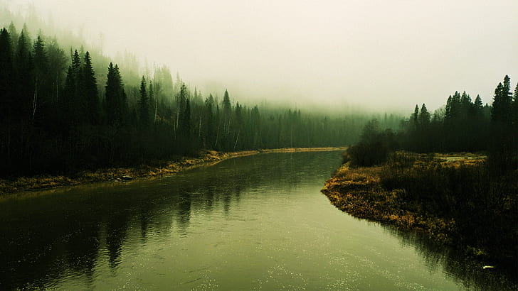 bosque, árboles, río, lago, otoño, agua, naturaleza, niebla, Fondo de pantalla HD