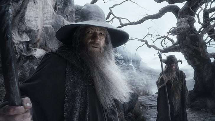 The Lord of the Rings The Hobbit Gandalf Wizard Ian McKellen Beard HD, movies, the, rings, lord, wizard, hobbit, gandalf, ian, beard, mckellen, HD wallpaper