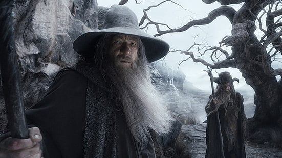 The Lord of the Rings The Hobbit Gandalf Wizard Ian McKellen Beard HD, movies, the, rings, lord, wizard, hobbit, gandalf, ian, beard, mckellen, HD wallpaper HD wallpaper