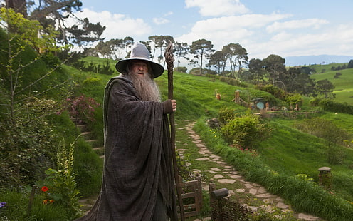 Gandalf, Yüzüklerin Efendisi, Shire, HD masaüstü duvar kağıdı HD wallpaper
