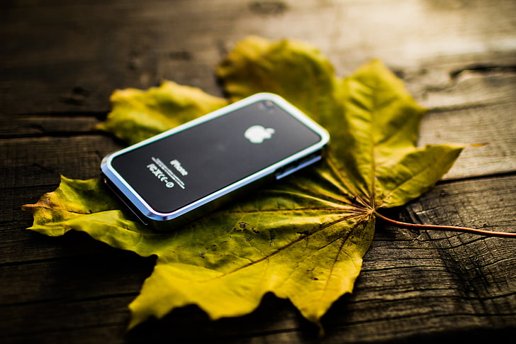 black iPhone 4, iphone 4, iphone, mobile phone, maple leaf, HD wallpaper