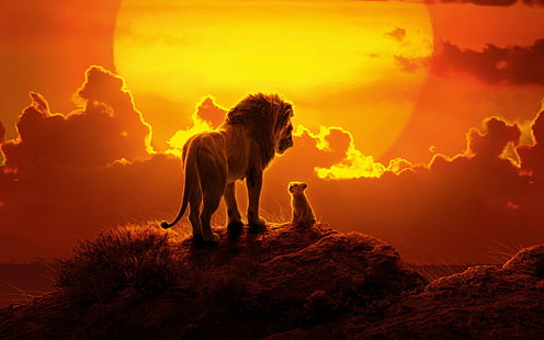 ライオンキング、ライオン、動物、動物の赤ちゃん、日没、自然、 HDデスクトップの壁紙 HD wallpaper
