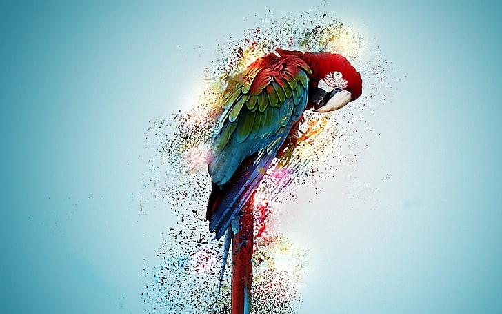 Birds, Red-and-green Macaw, HD wallpaper | Wallpaperbetter