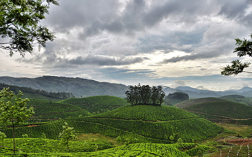 gökyüzü, bulutlar, dağlar, tepeler, Hindistan, Kerala, Munnar, çay tarlaları, HD masaüstü duvar kağıdı HD wallpaper