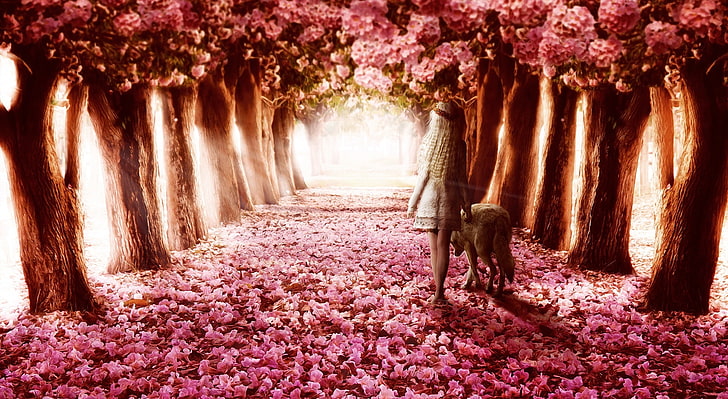 Path, pink leafed tree painting, Artistic, Fantasy, art, child, flowers, spring, pink, blossom, wolf, beautiful, most, trees, HD wallpaper