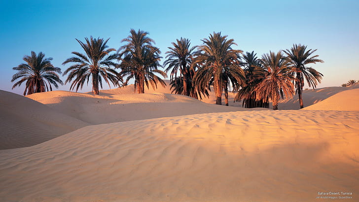 Пустыня Сахара, Тунис, Африка, HD обои
