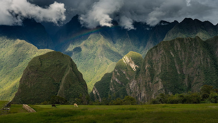 緑の山、マチュピチュ、アンデス、ペルー、山、空、インカの城塞、 HDデスクトップの壁紙