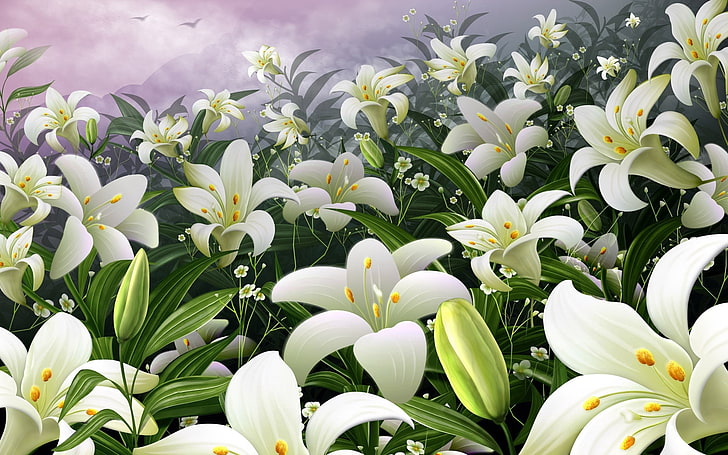 illustration de fleurs blanches, lis, fleurs, pré, bourgeon, étamines, ciel, Fond d'écran HD
