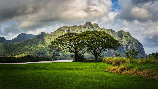 Hawaii, HDR, doğa, manzara, HD masaüstü duvar kağıdı HD wallpaper