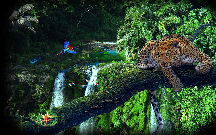 Amazon Jungle Tree Leopard Papegojor Bakgrund Hd 3840 × 2400, HD tapet