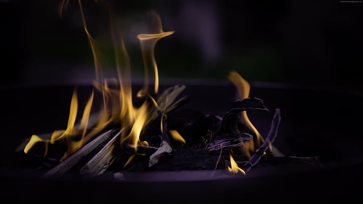 fire, flame, macro, bonfire, 4k pics, ultra hd, HD wallpaper