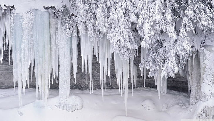 ice, snow, cold, HD wallpaper