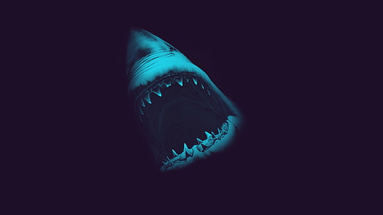 tubarão branco, tubarão branco, tubarão, animais, ataque, vida marinha, HD papel de parede HD wallpaper