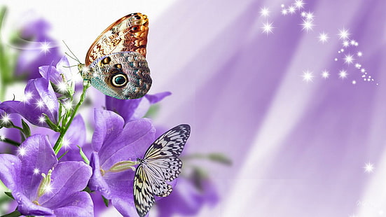 紫の抱擁、firefoxペルソナ、花、星、蝶、ラベンダー、花、花、輝き、puplele、蝶、 HDデスクトップの壁紙 HD wallpaper