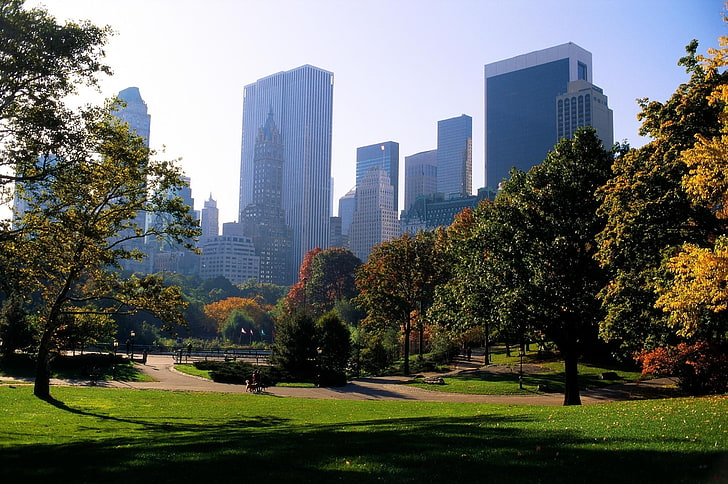 зелени листни дървета, Ню Йорк, централен парк, трева, небостъргачи, HD тапет