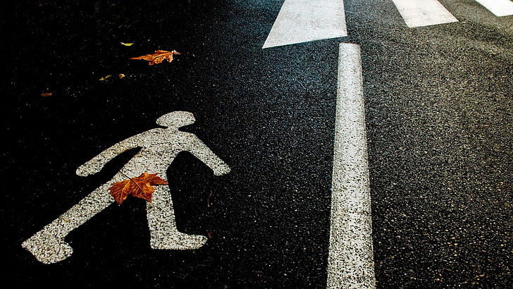 пешеходная полоса, листья, юмор, дорога, HD обои