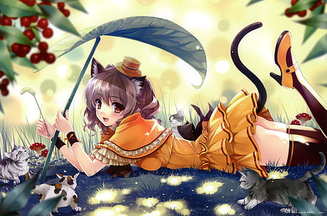 อะนิเมะ, สาวอะนิเมะ, เนโคมิมิ, สาวแมว, แมว, วอลล์เปเปอร์ HD HD wallpaper