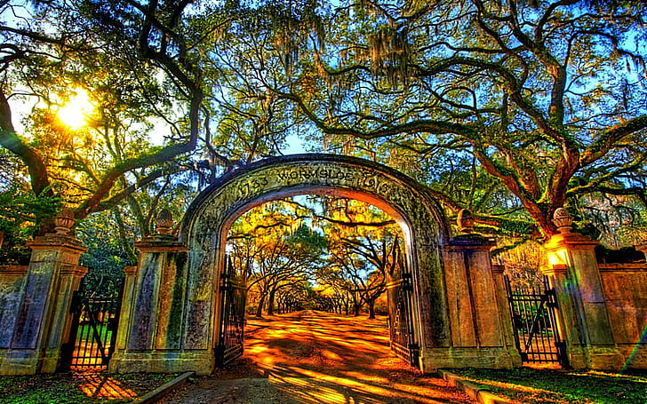 Gate To Your Golden World, path, grass, gate, trees, forest, colorful, light, glow, animals, HD wallpaper
