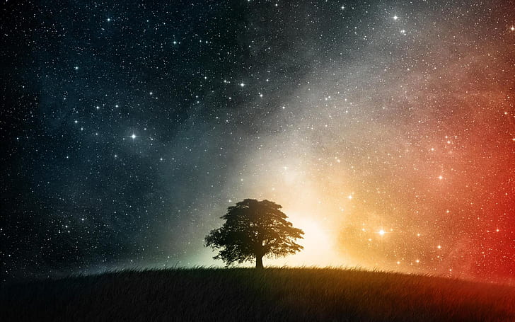 космос дървета нощ цветни звезди фентъзи изкуство творчески произведения на изкуството фотоманипулации 2560x1600 Абстрактни фентъзи HD изкуство, дървета, космос, HD тапет