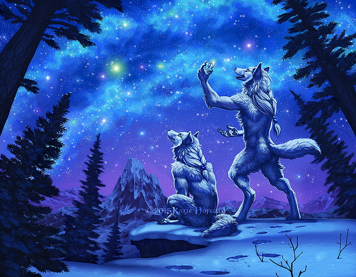 пушистый, антро, арктический волк, голубой, звёзды, снег, волк, синий, HD обои