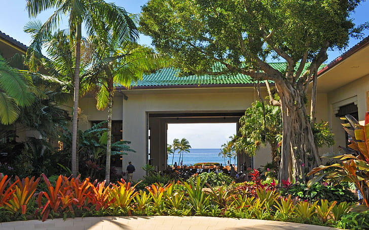 Beautiful Hawaiian Ti Plants, garden, beautiful, plants, trees, beach, gardens, ocean, villa, paradise, palm, view, island, tropical, HD wallpaper