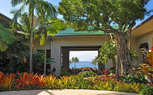 Belas plantas havaianas Ti, jardim, linda, plantas, árvores, praia, jardins, oceano, vila, paraíso, palma, vista, ilha, tropical, HD papel de parede HD wallpaper