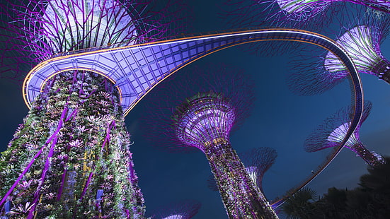 싱가포르, 다리, HD 배경 화면 HD wallpaper