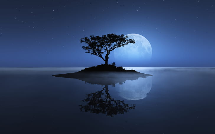 Blue Tree Moon Night Reflection HD, ธรรมชาติ, สีฟ้า, กลางคืน, ต้นไม้, การสะท้อน, ดวงจันทร์, วอลล์เปเปอร์ HD