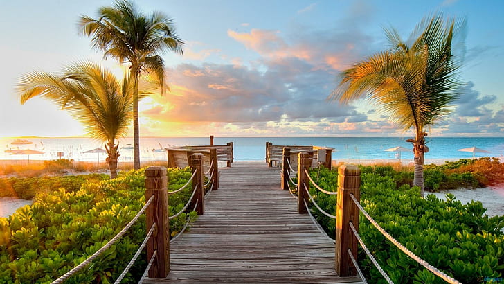 カリブ海ビーチへの木製の桟橋、茶色の木製ドック、桟橋、ビーチ、自然、旅行、自然と風景、 HDデスクトップの壁紙
