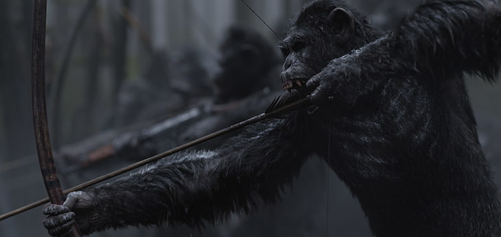 4K, guerre pour la planète des singes, César, Fond d'écran HD