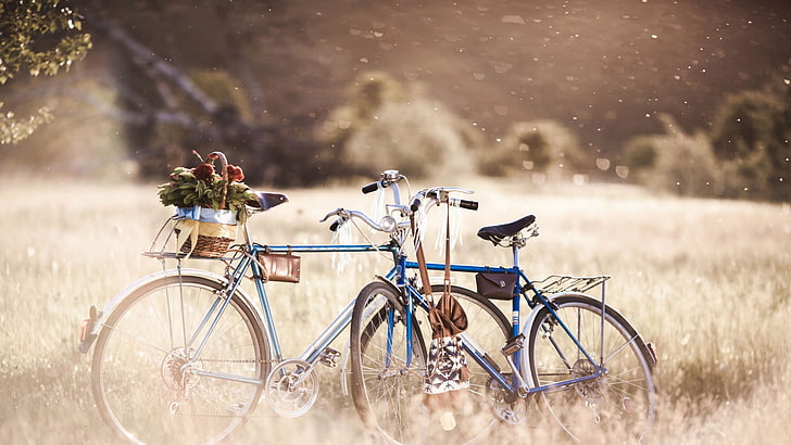 romantique, vélo, vélo construit pour deux, cycliste, véhicule à roues, vélo, véhicule, cyclisme, sport, en plein air, gens, cycle, homme, personne, balade, mode de vie, été, amusement, charrue, action, loisirs, souriant, heureux, exercice, loisirs, bonheur, mâle, Fond d'écran HD