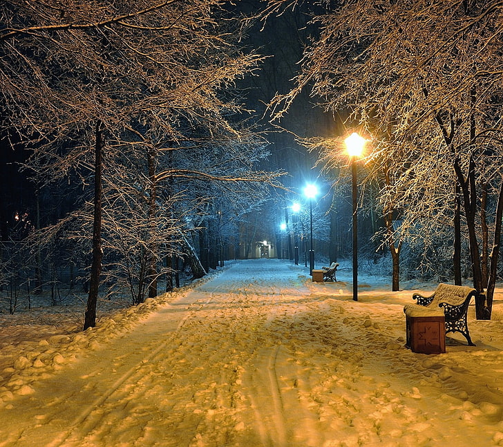 черная металлическая скамейка, зима, снег, ночь, уличный фонарь, дорожка, деревья, скамейка, HD обои