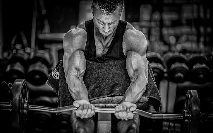 Graustufenfoto von Langhantel, Bodybuilding, Bodybuilder, Muskel, Stange, HD-Hintergrundbild