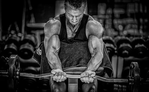 grayscale photo of barbell, bodybuilding, bodybuilder, muscle, rod, HD wallpaper HD wallpaper