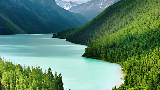Fotografie des Waldes in der Nähe von Gewässer, Landschaft, Berge, Wasser, Natur, Bäume, See, HD-Hintergrundbild HD wallpaper