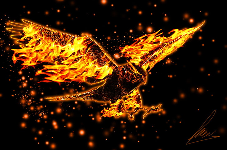 Zwierzęta fantasy, ptak, artystyczne, orzeł, ogień, Tapety HD