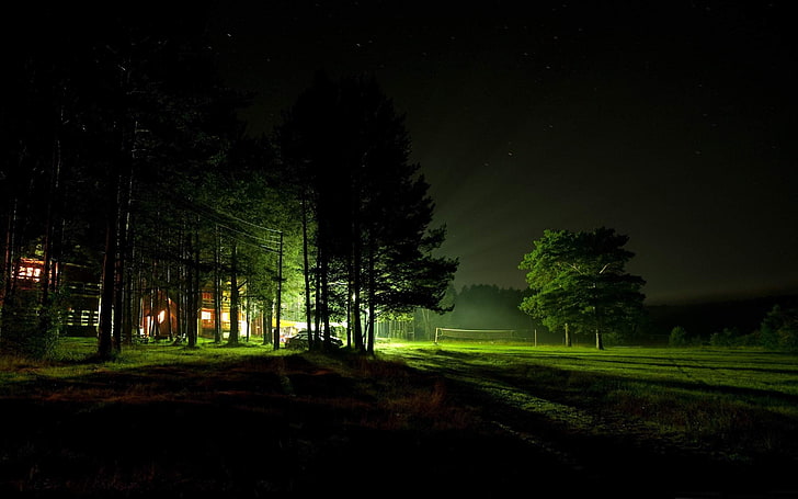 Papel de parede HD de paisagem natural à noite, árvores de folhas verdes e gramado, HD papel de parede