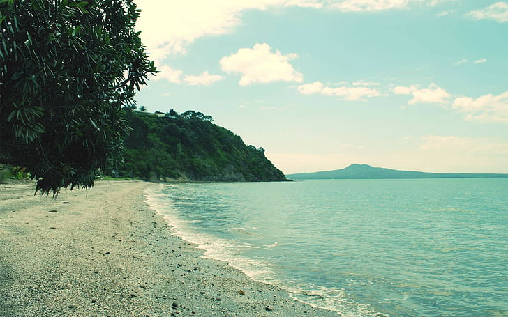 Fotografie, Strand, Wasser, Meer, Küste, Bäume, HD-Hintergrundbild