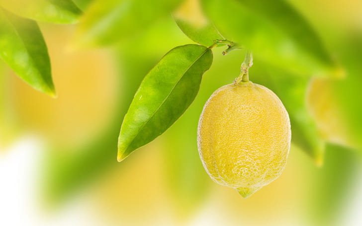 Плодове, жълт лимон, листа, боке, плодове, жълто, лимон, листа, боке, HD тапет