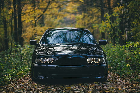 black BMW E46 M3, machine, autumn, forest, BMW, car, E39, M5, HD wallpaper HD wallpaper