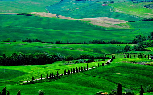 Italie, Toscane, paysage de printemps, champs, route, arbres, vert, Italie, Toscane, printemps, paysage, champs, route, arbres, vert, Fond d'écran HD HD wallpaper