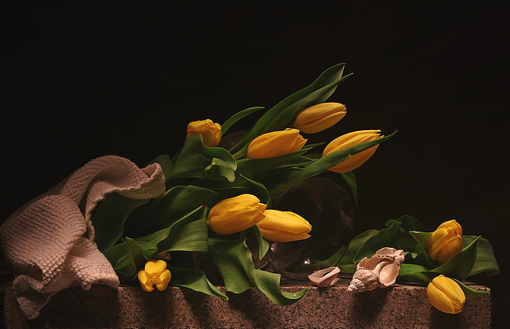 yellow, shell, tulips, HD wallpaper