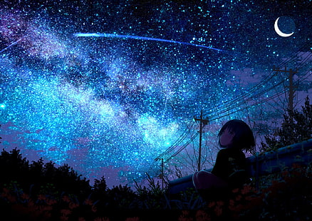 Аниме, Оригинал, Девушка, Падающая Звезда, Звездное Небо, HD обои HD wallpaper
