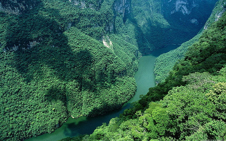 Río amazonas HD fondos de pantalla descarga gratuita | Wallpaperbetter
