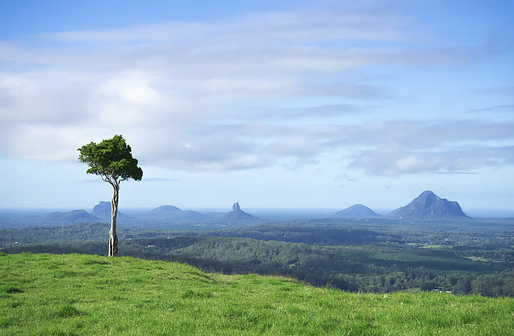 landscape photo of mountain and green grass field during daytime, queensland, australia, queensland, australia, One Tree Hill, Queensland, Australia, landscape, photo, mountain, green grass, daytime, one  tree  hill, maleny  queensland, qld, cc, creative  commons, photos, sunshine  coast, sony  a7, 70mm, aus, oz, down  under, holiday, weekend, visit, week, travel  destination, sel2870, nature, scenics, tree, outdoors, forest, cloud - Sky, volcano, sky, hill, HD wallpaper